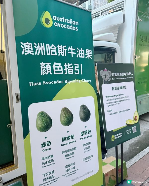 🚛澳洲牛油果 嚐味車遊走各區,果昔免費拎