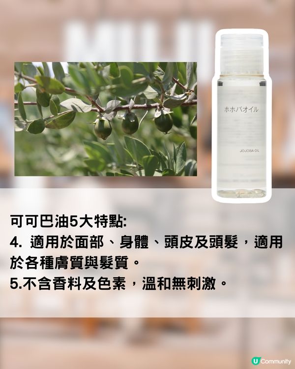  MUJI最強護膚油？5大特點！日本女生推介！清走黑頭粉刺最有感！
