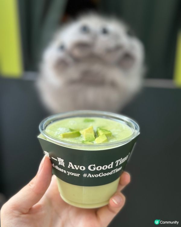 😍有免費🥑澳洲牛油果果昔派呀!😋