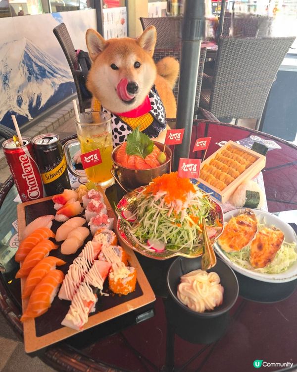 寵物友善日本菜餐廳