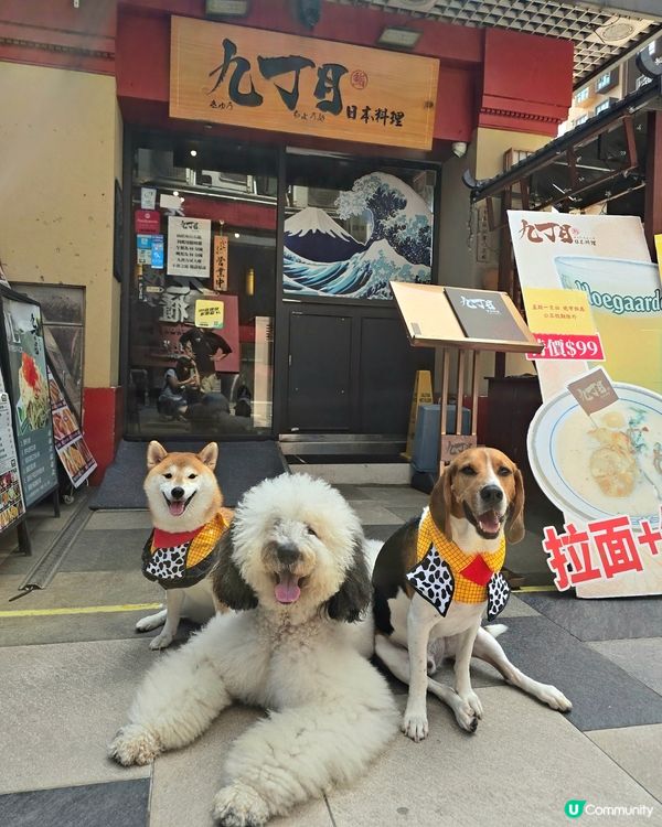 寵物友善日本菜餐廳