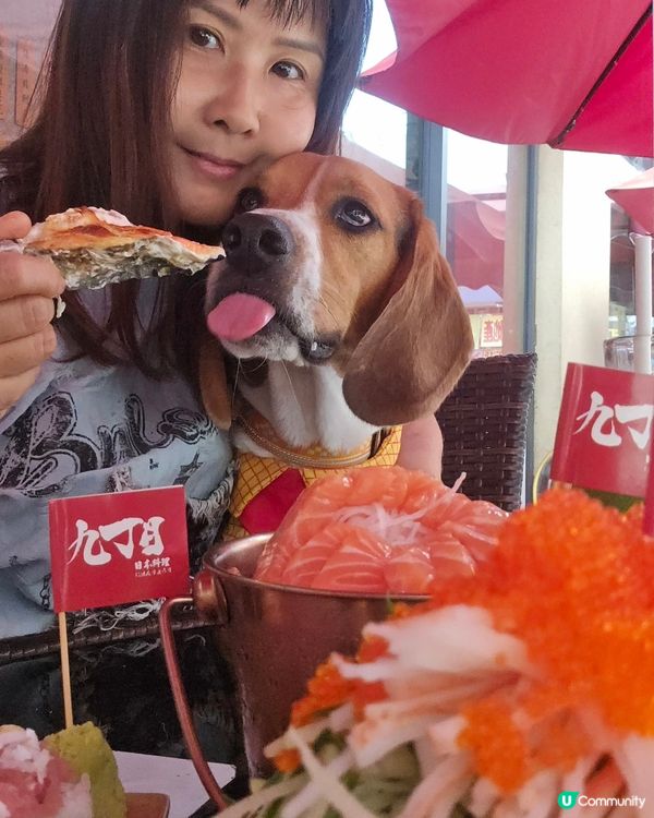 寵物友善日本菜餐廳