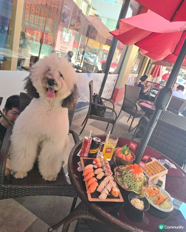 寵物友善日本菜餐廳