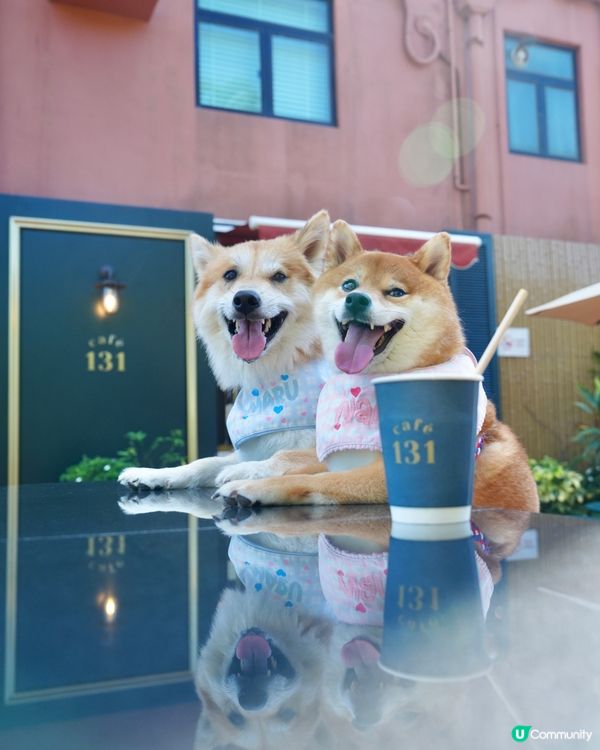 西沙Go Park Aqua隱世cafe☕️