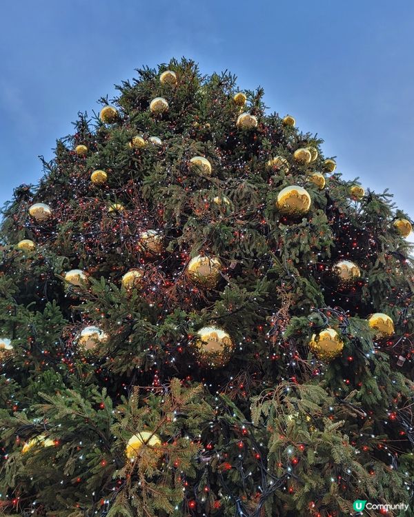 倫敦超美聖誕裝飾