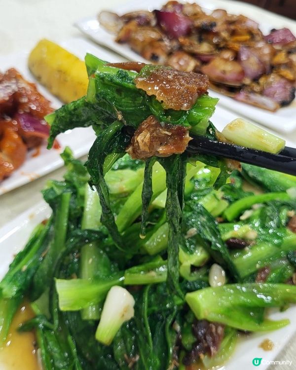 屯門友聚．風味大排檔 🍲