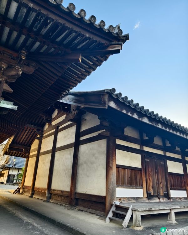 閒逛歷史悠久的奈良町