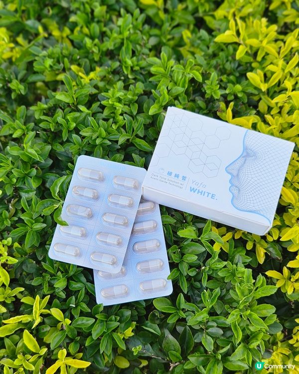 YAFA植純皙 第三代