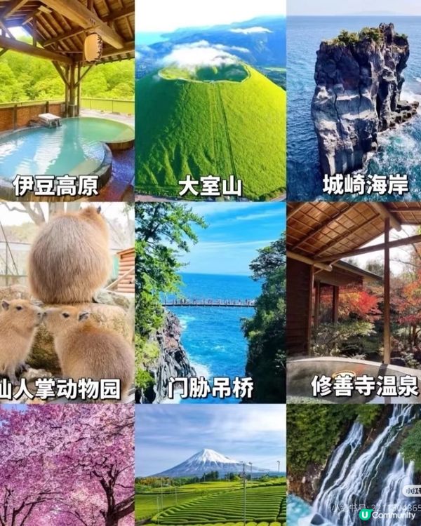 伊豆9大必玩景點