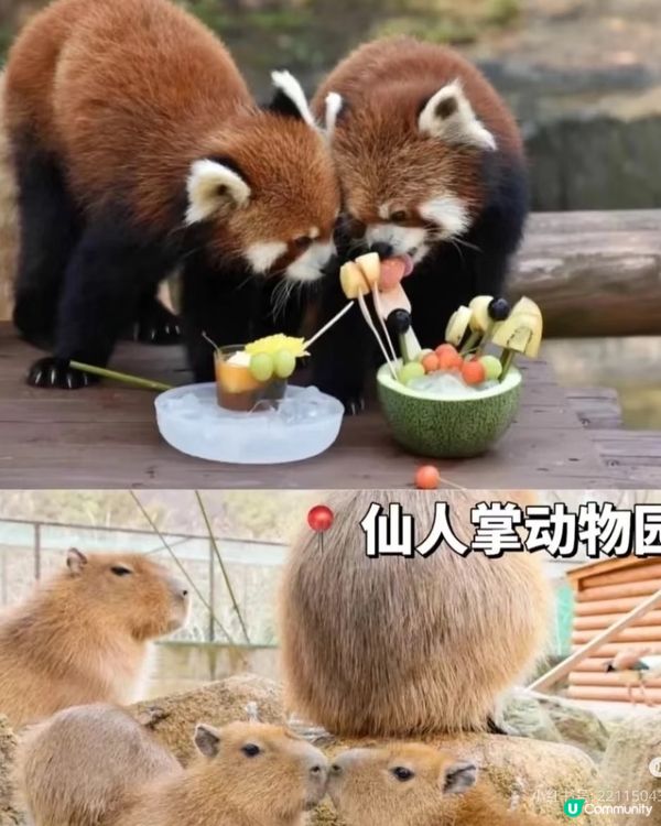 伊豆9大必玩景點