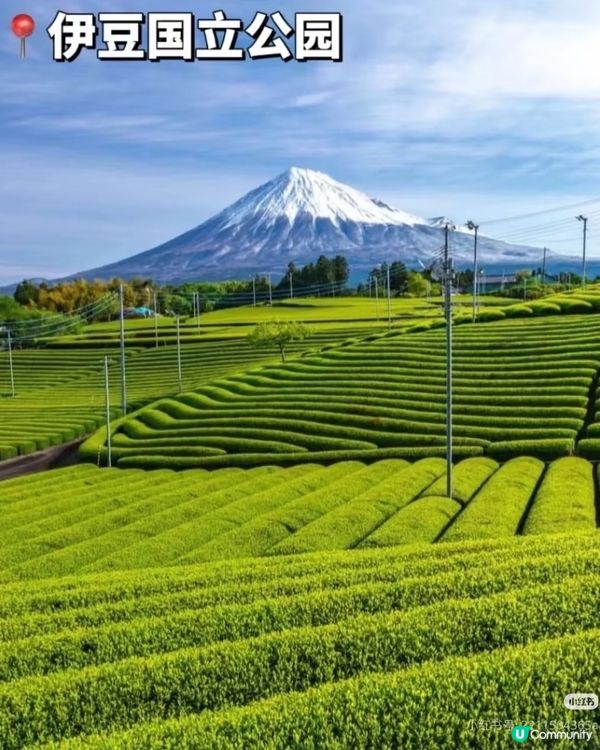 伊豆9大必玩景點