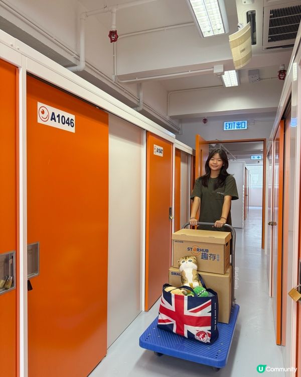 【囡囡公仔軍團有新家🏡！趣存幫到你！】