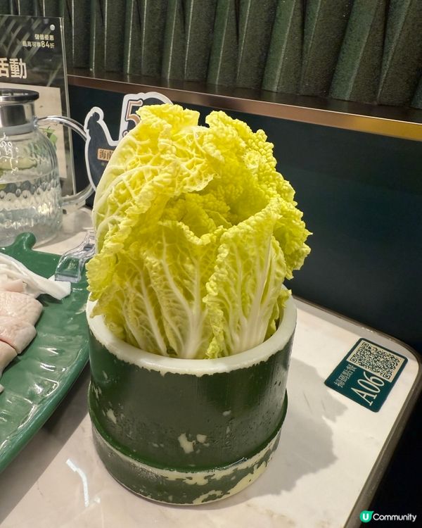 四季椰林椰子雞打邊爐🤤🥥！