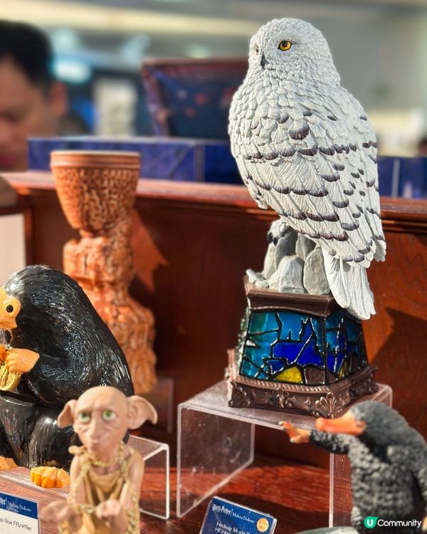 哈利波特觀塘快閃店開鑼！🧙‍♂️✨ 獨家精品等你嚟！