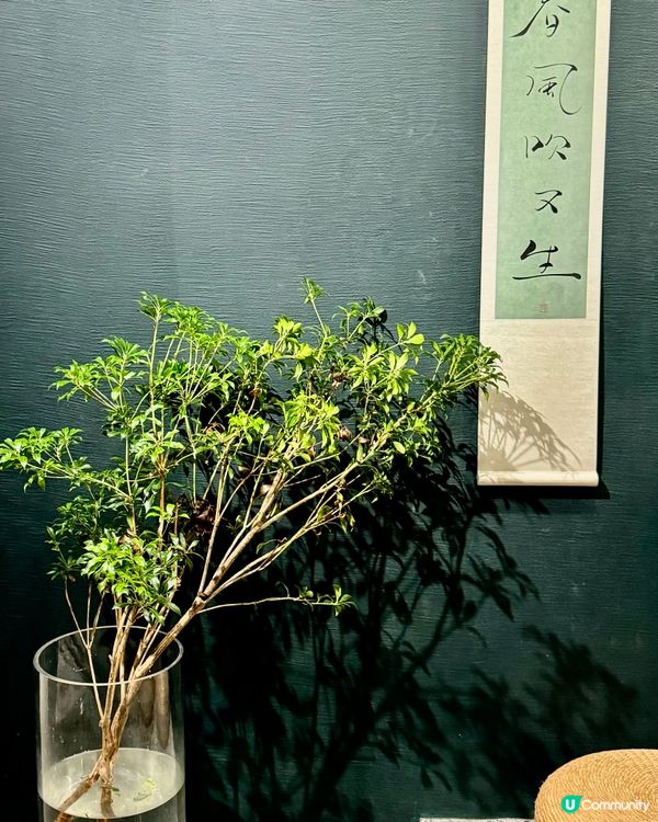 【半坡茶莊】醉妃笑🥂！茶調酒打卡📸！