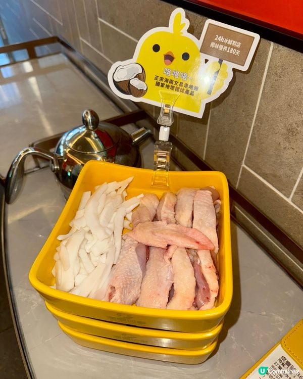 潤園四季：椰子雞煲必試！🤤🐔🥥