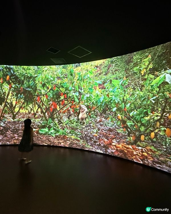 ［日本絕不能錯過的最新景點］Royce Town朱古力工廠🍫