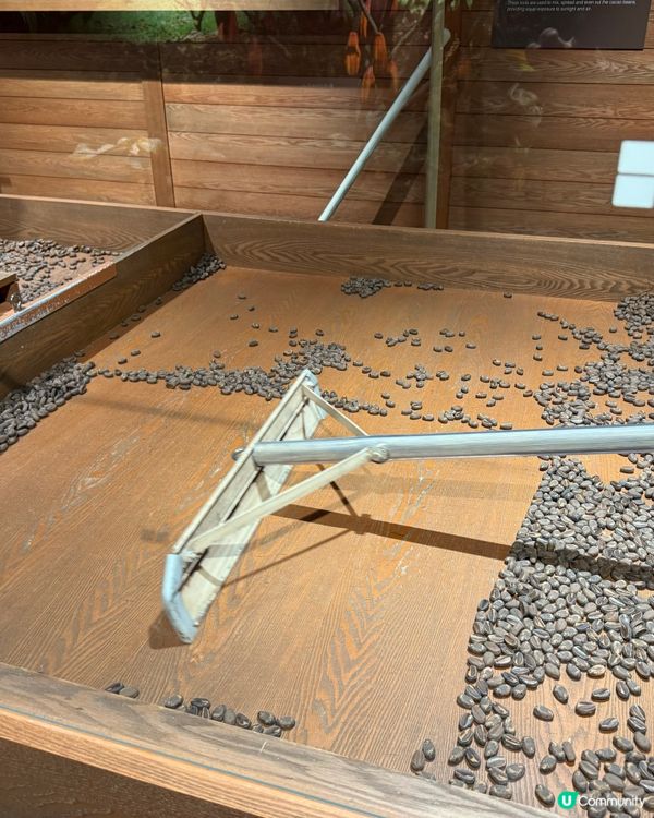 ［日本絕不能錯過的最新景點］Royce Town朱古力工廠🍫