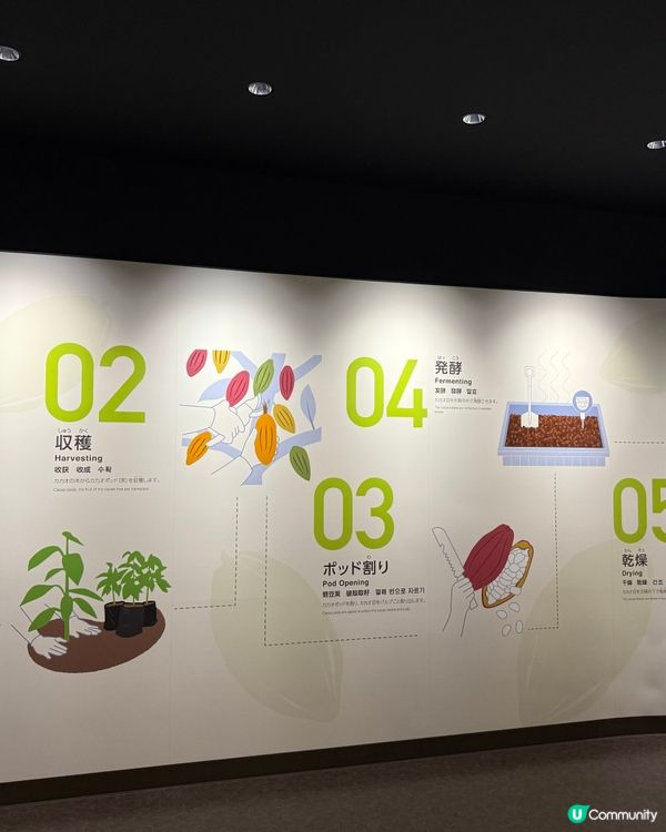 ［日本絕不能錯過的最新景點］Royce Town朱古力工廠🍫