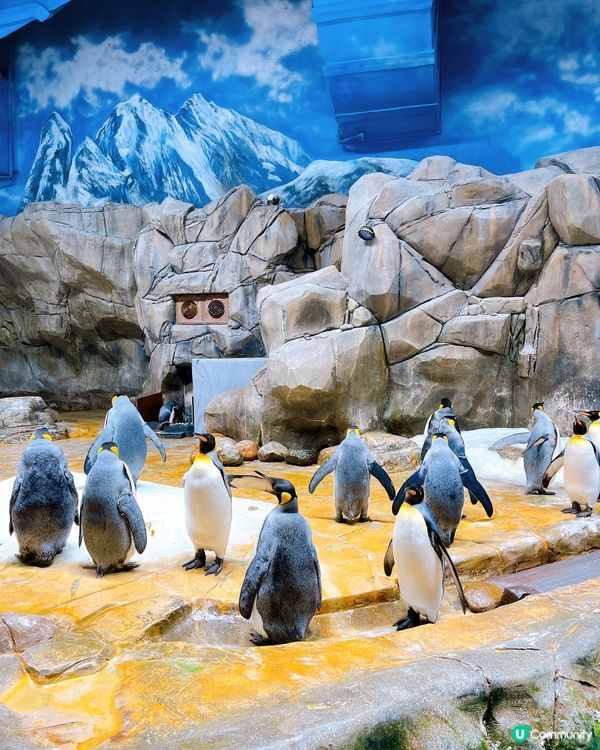 🎉今個weekend去咗🎃海洋公園哈囉喂全園祭‼️