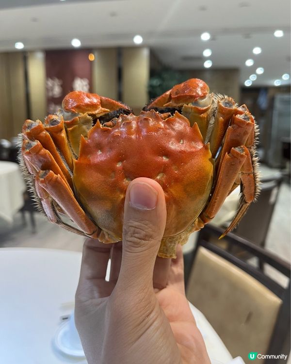 🦀 爆汁蟹肉飯！🤤 滬江飯店必食！