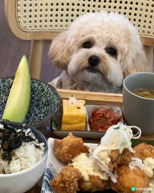 荃灣南豐紗廠日式寵物有善餐廳