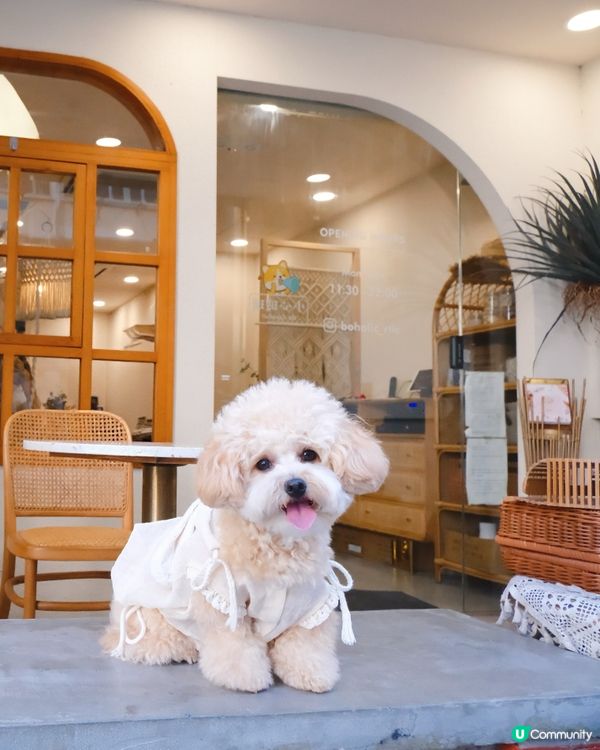 波希米亞風寵物有善Cafe🥞