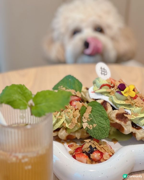 波希米亞風寵物有善Cafe🥞