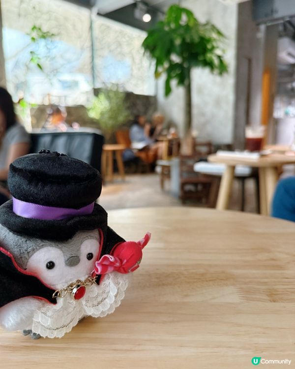 北角新發現！泥石風餐廳🤩 鬆餅必試！🥞