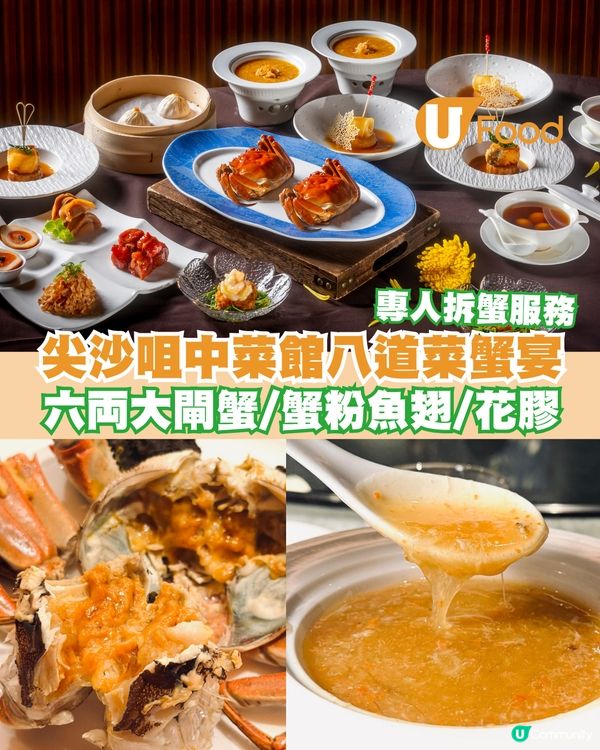 尖沙咀中菜館$598八道菜蟹宴 專人拆蟹服務！六両大閘蟹/蟹粉魚翅/花膠/蟹粉小籠包