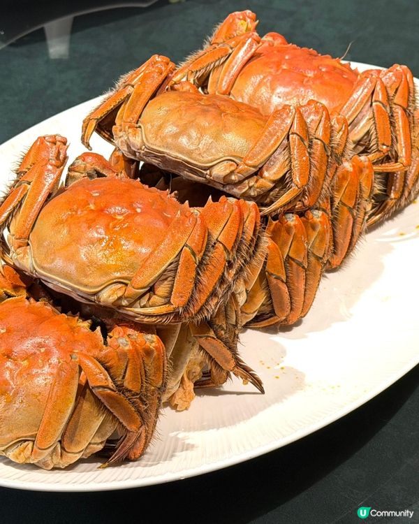 尖沙咀中菜館$598八道菜蟹宴 專人拆蟹服務！六両大閘蟹/蟹粉魚翅/花膠/蟹粉小籠包