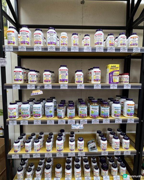 捱夜肝出事🚨？救星嚟啦！奶薊高效護肝