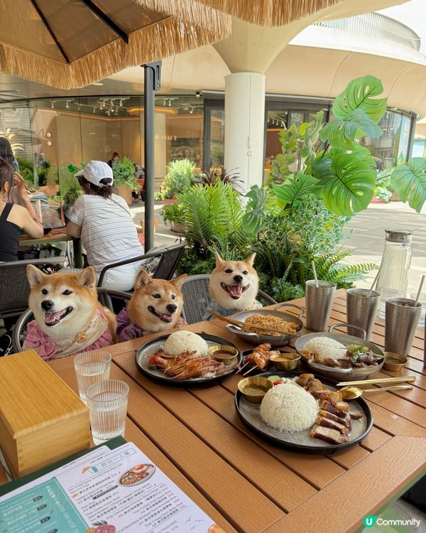 / 帶毛孩食渡假風泰菜 \