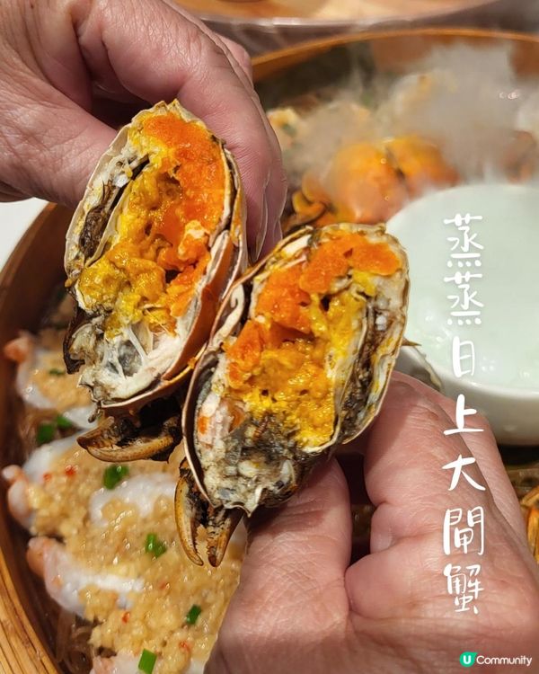 🎂壽星殺到深圳！鴨小七生日盛宴全攻略