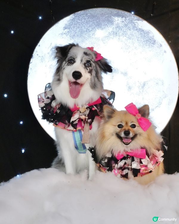 一日限定打卡活動