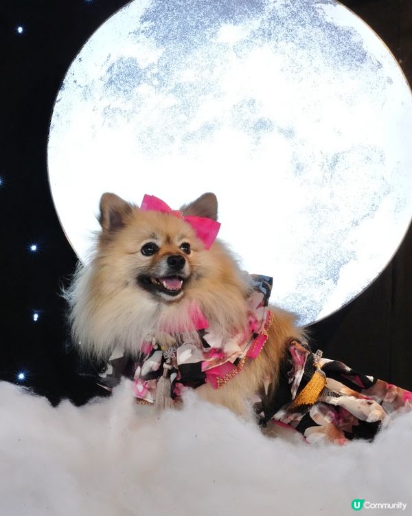 一日限定打卡活動