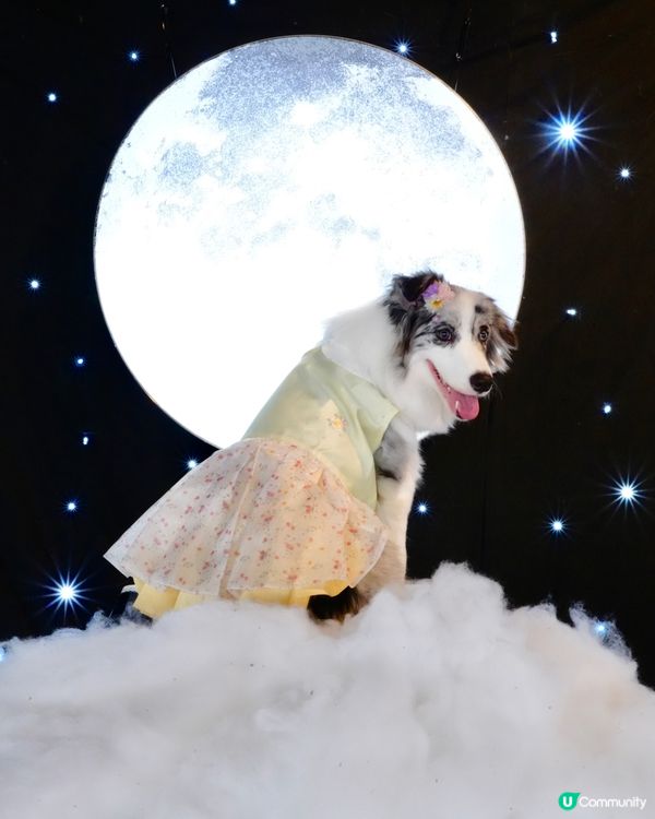 一日限定打卡活動