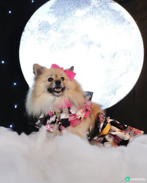 一日限定打卡活動