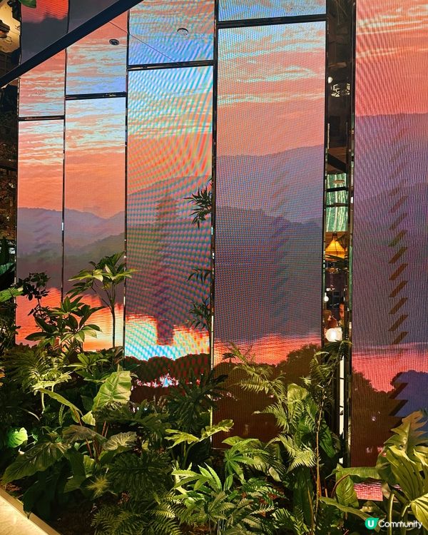 綠茶餐廳必食酸菜魚