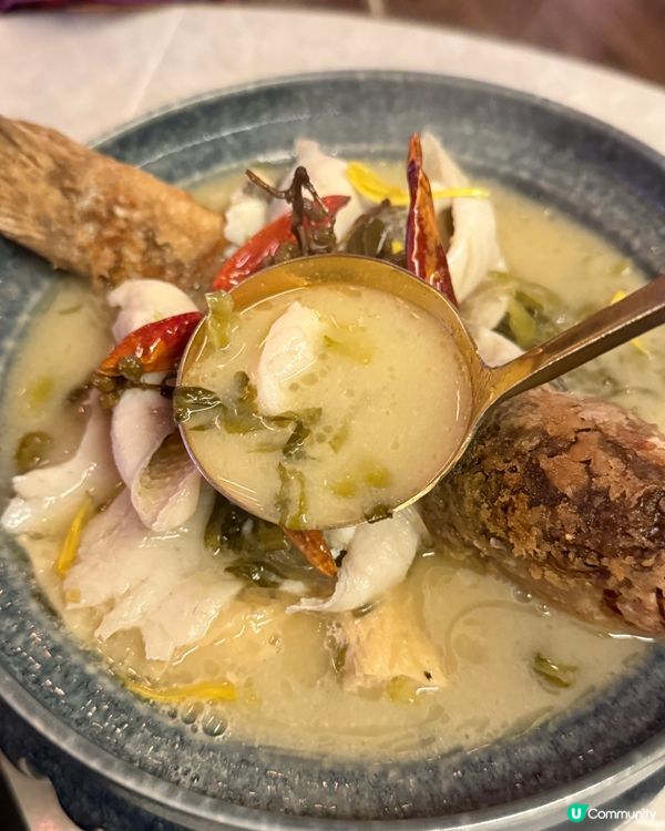 海南雞控🤤銅鑼灣必食！雞皮啫喱咁滑😋