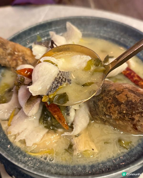 海南雞控🤤銅鑼灣必食！雞皮啫喱咁滑😋