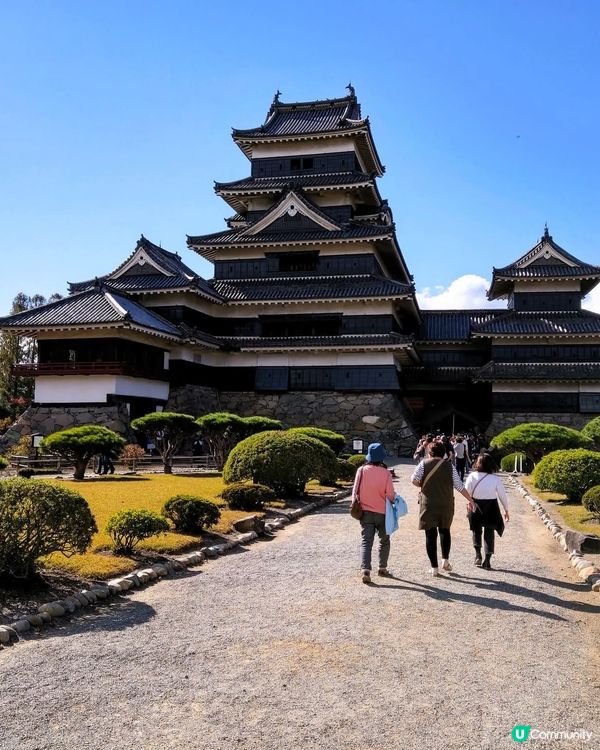 日本松本城🏯！黑白絕美🏯！打卡必去！📸