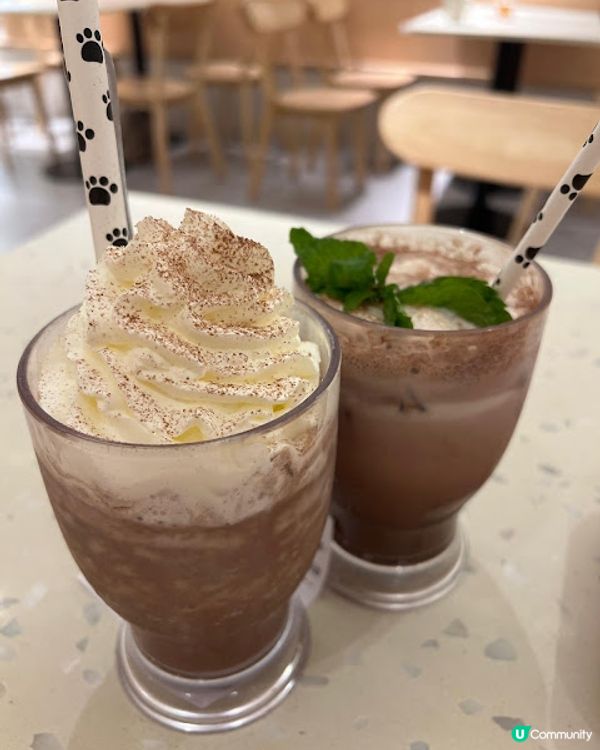 荔枝角貓貓cafe😻！被貓貓包圍呀～ 必去！ 🐾