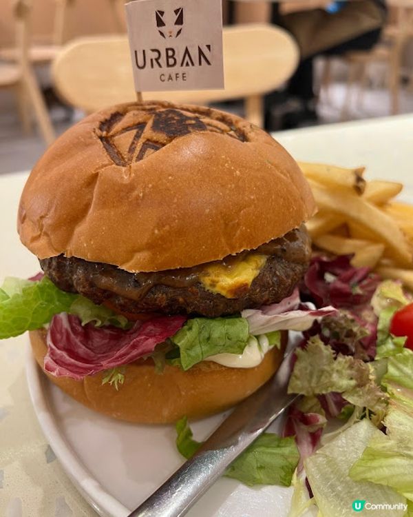 荔枝角貓貓cafe😻！被貓貓包圍呀～ 必去！ 🐾