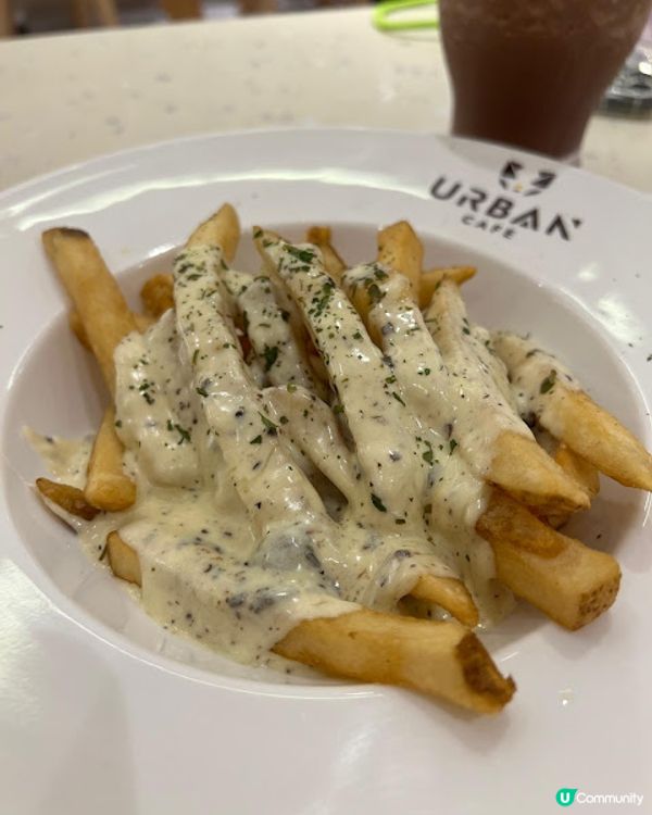 荔枝角貓貓cafe😻！被貓貓包圍呀～ 必去！ 🐾