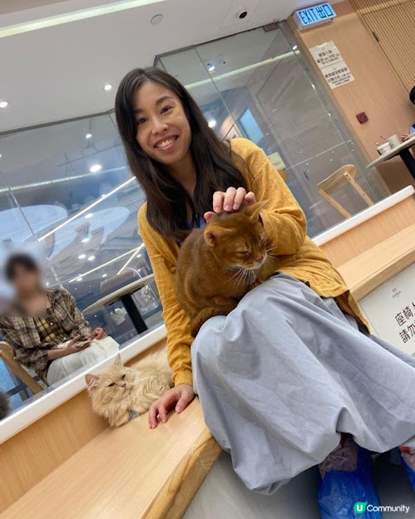 荔枝角貓貓cafe😻！被貓貓包圍呀～ 必去！ 🐾