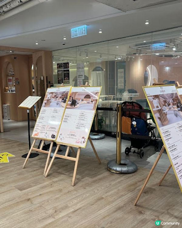 荔枝角貓貓cafe😻！被貓貓包圍呀～ 必去！ 🐾