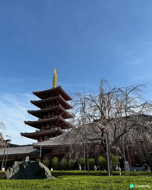 想介紹的打卡熱點是日本東京。四月份的東京係睇櫻花嘅最佳季節，...