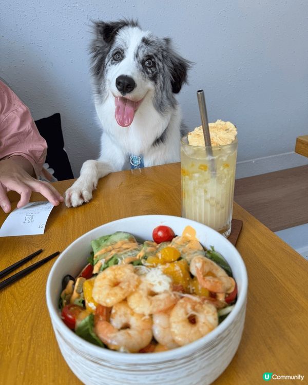 朋友過嚟探Moko，一於帶埋Moko一齊去食飯，近近地去附近...