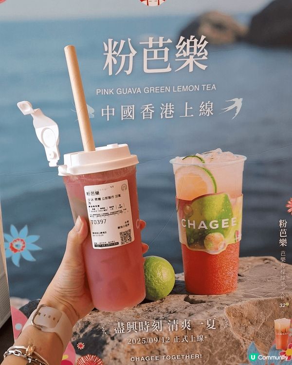 今日終於試咗霸王茶姬呢期勁Hit嘅新品——「粉芭樂」清甜芭樂...